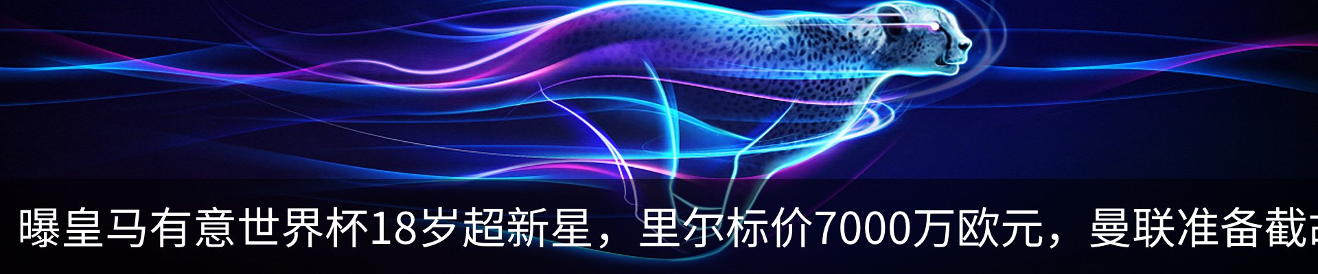 资讯动态